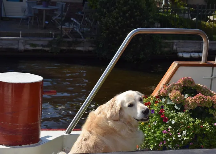 Bed & Breakfast Aurora Schiedam